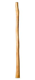 Epoxy Resin Finish Didgeridoo (TM395)